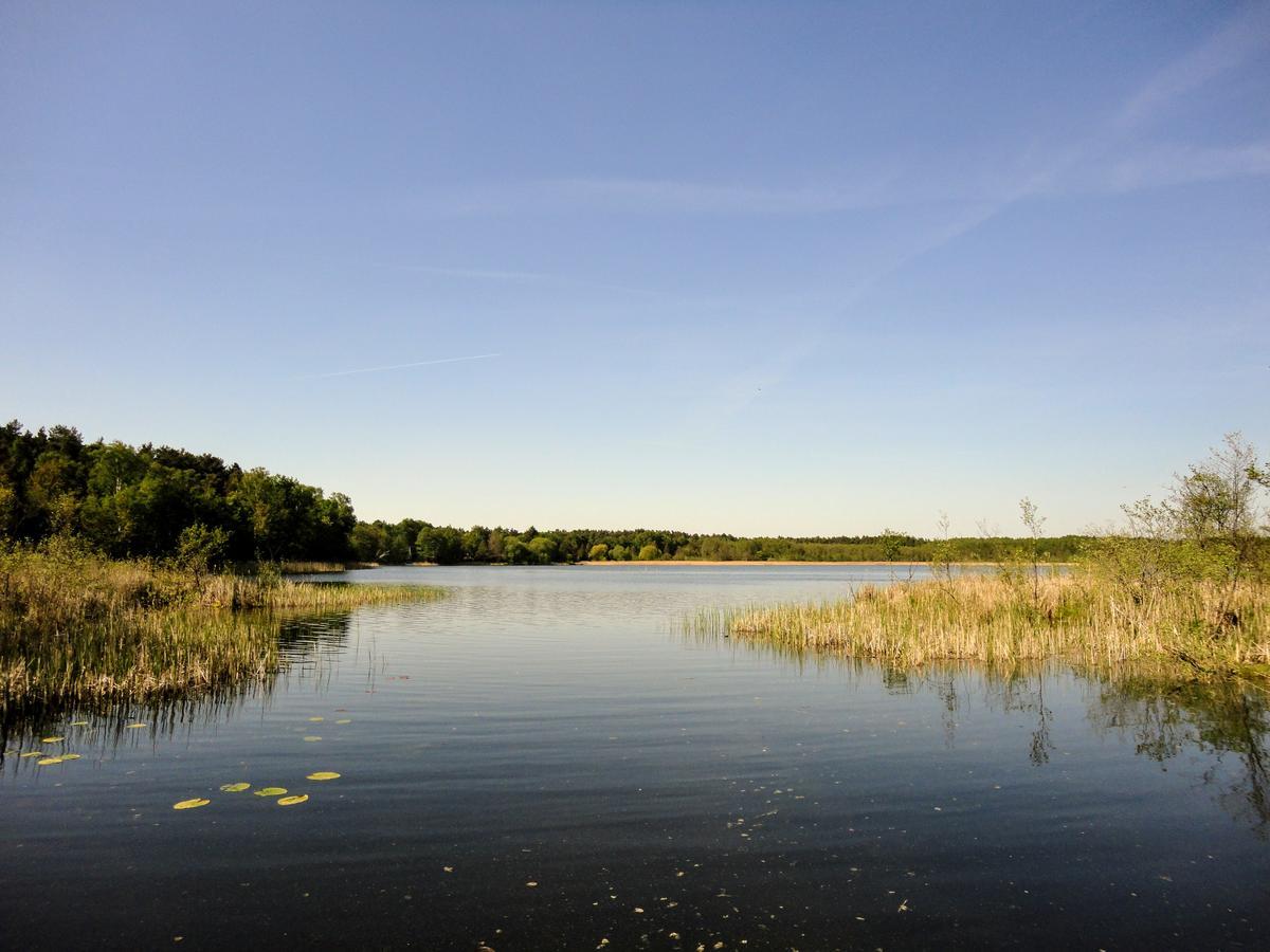 Ferienpark Am Glubigsee ويندستش ريتز المظهر الخارجي الصورة