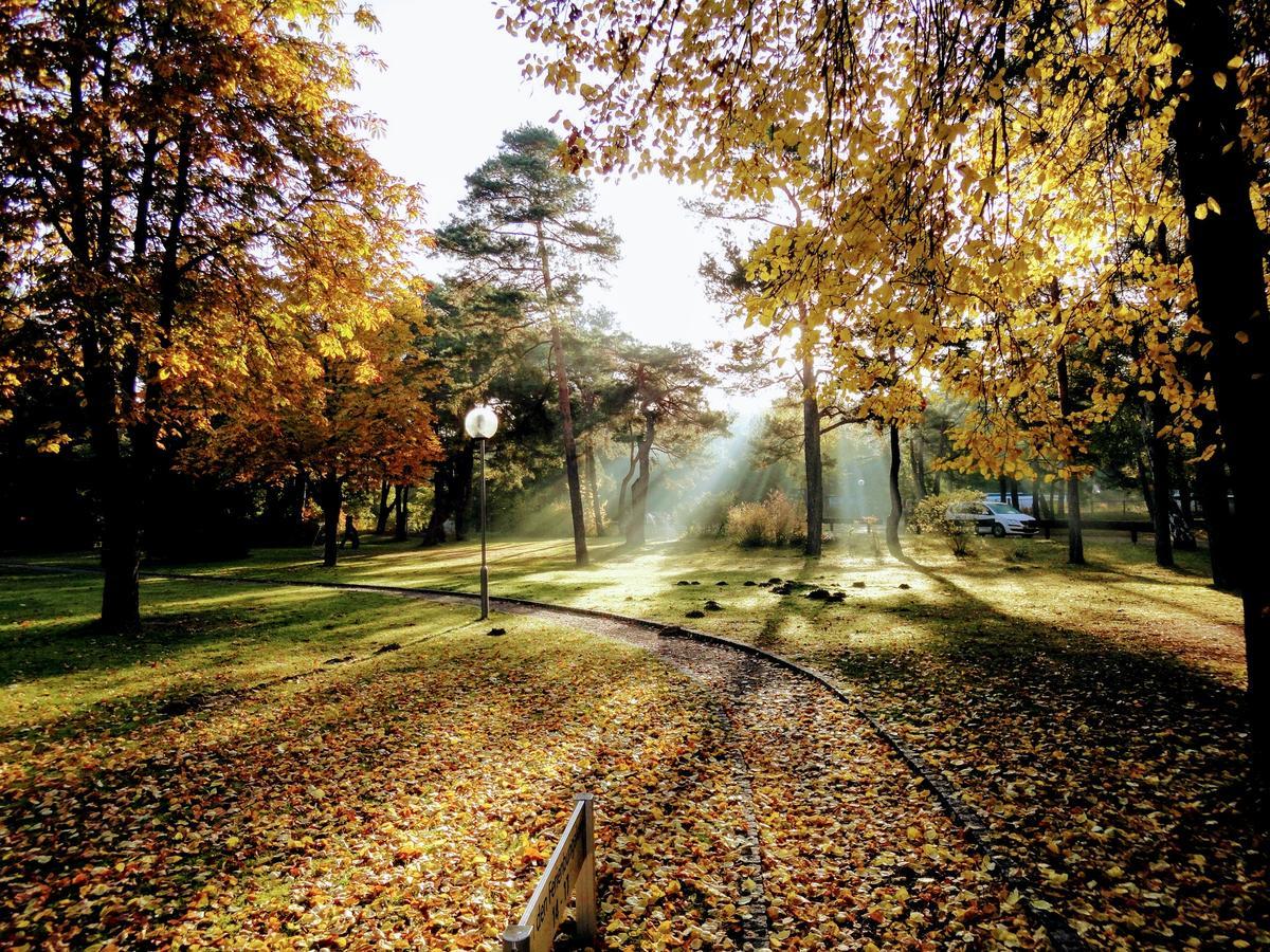 Ferienpark Am Glubigsee ويندستش ريتز المظهر الخارجي الصورة
